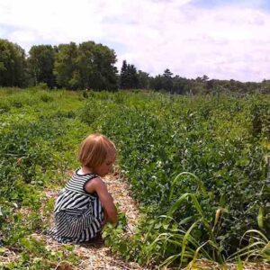 10 Amazing Herbs for Kids Image